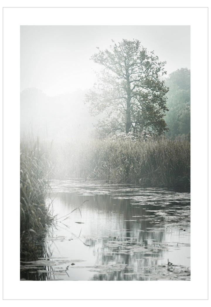 Misty landscape with a tree and reflections on water