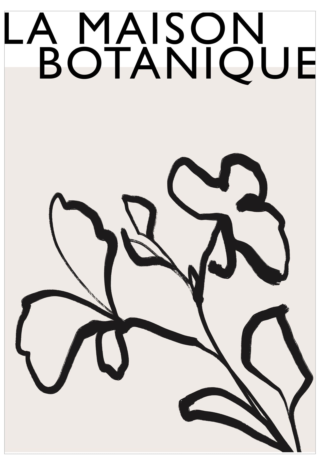 Line art of a flower with 'La Maison Botanique' text above on a white background