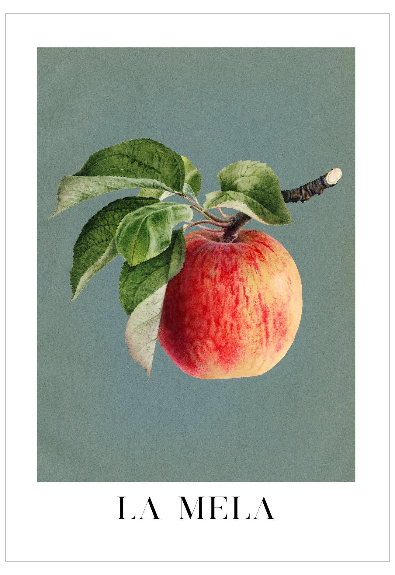 Illustration of a red apple with green leaves on a light blue background, featuring the text 'LA MELA'.