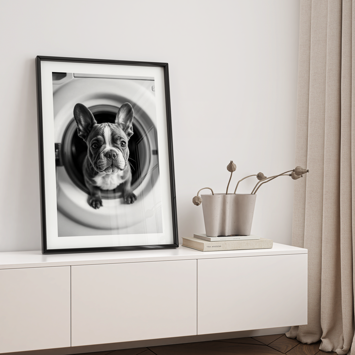 Laundry Puppy Poster