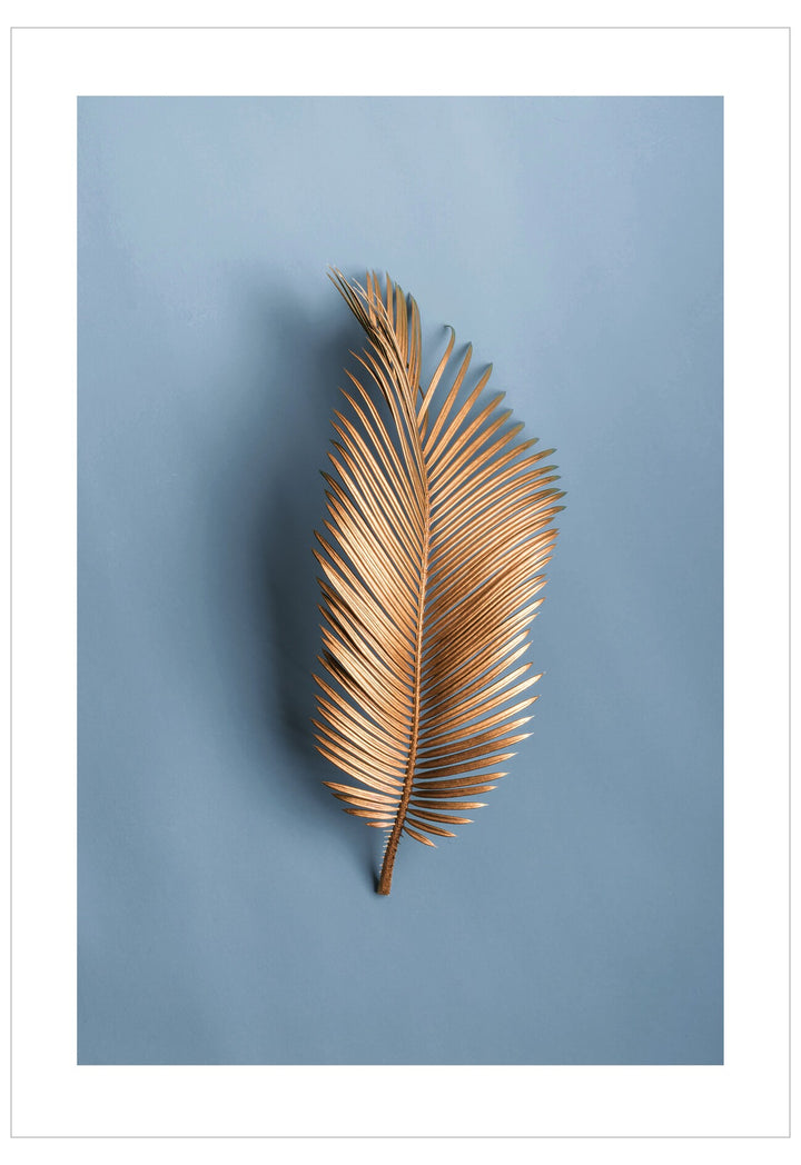 Dried palm leaf on a blue background