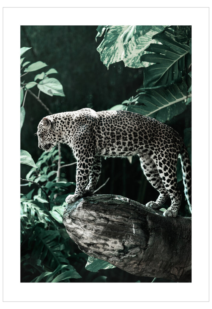 Leopard on a branch with green foliage in the background