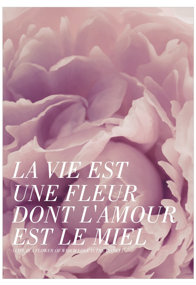 Pink floral background with French text overlay