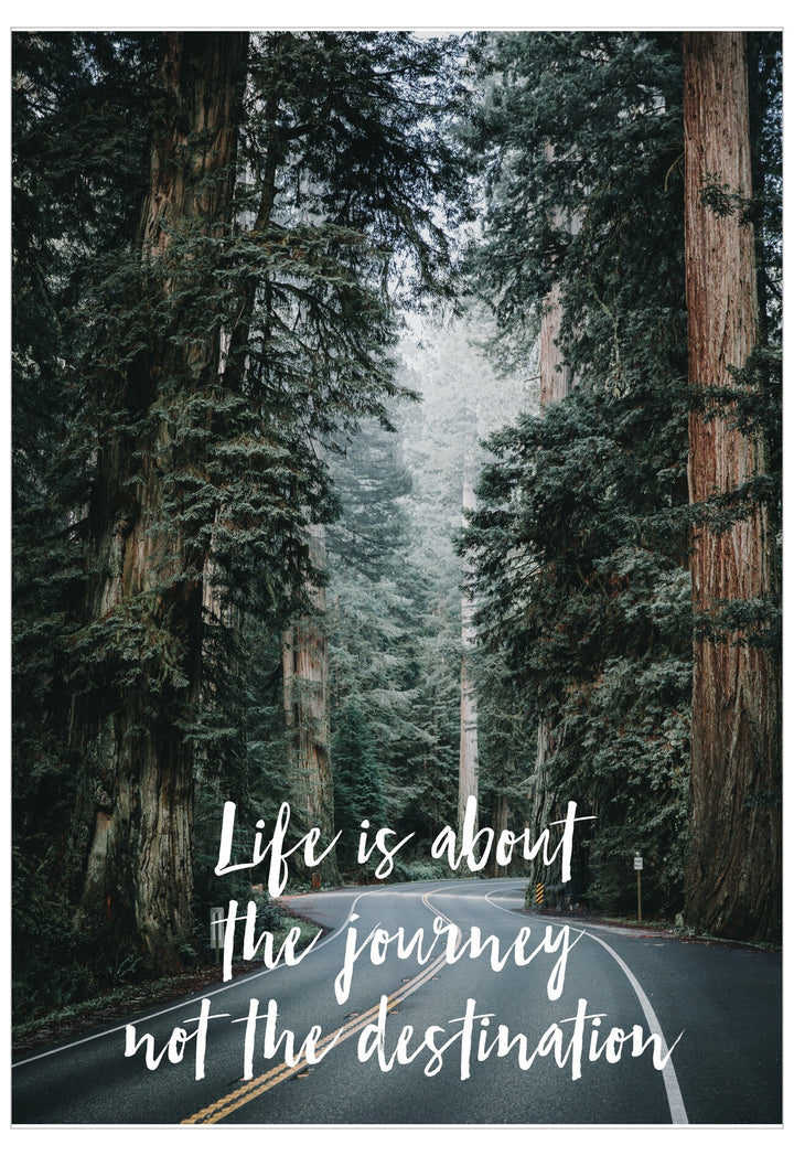 Road surrounded by tall trees with a quote about life on a black background
