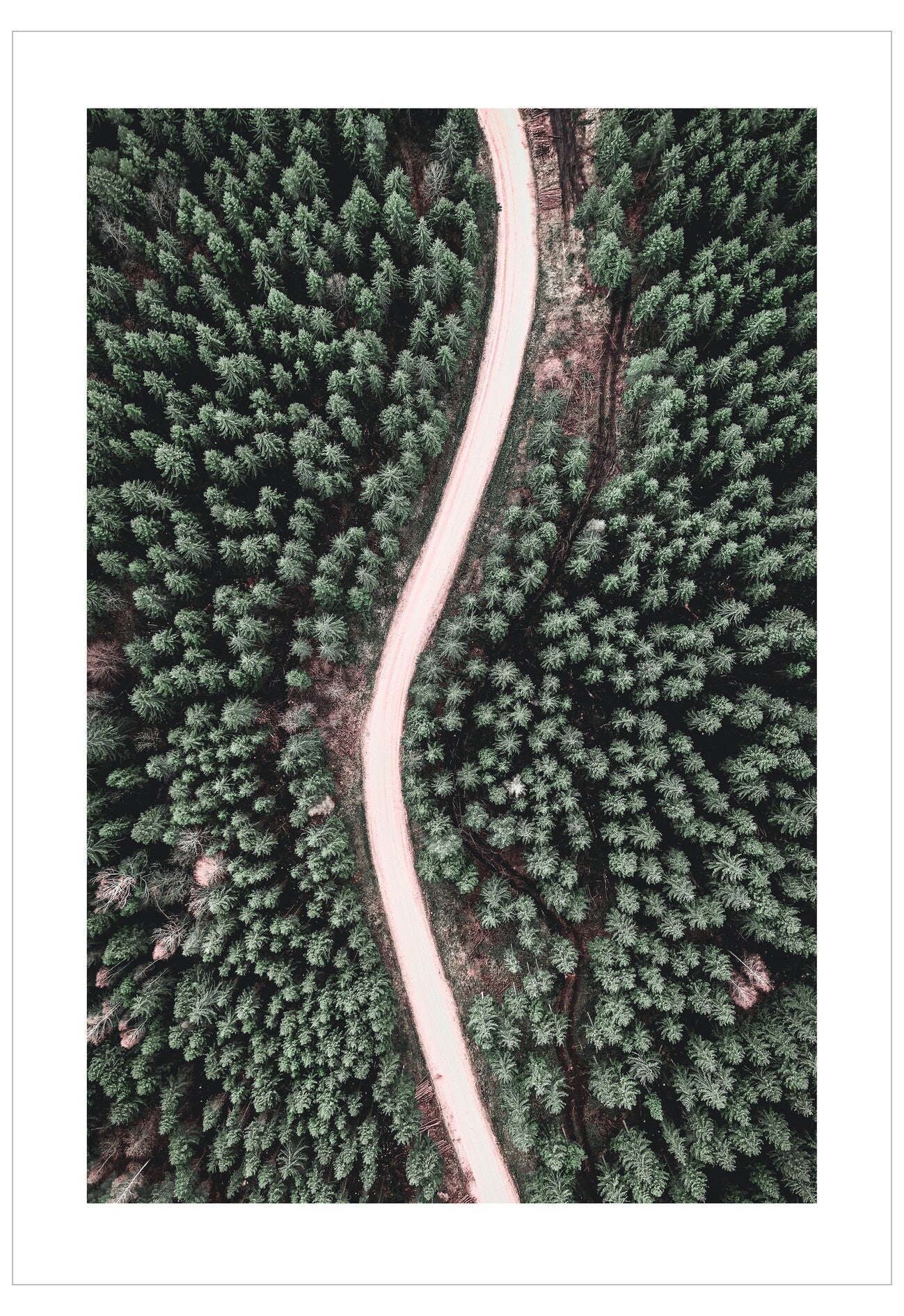 Aerial view of a winding path through a dense forest