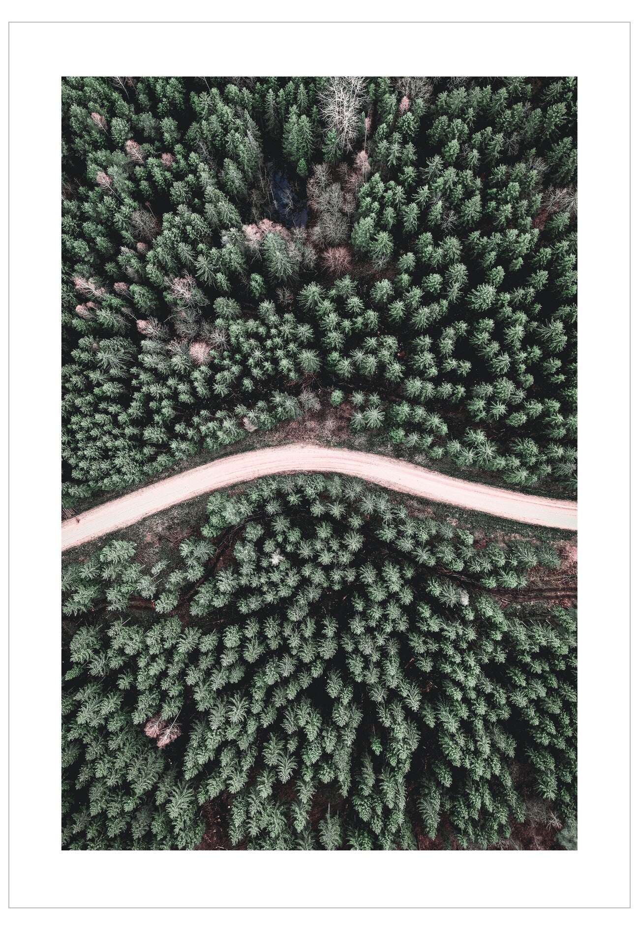 Aerial view of a winding road through a dense forest