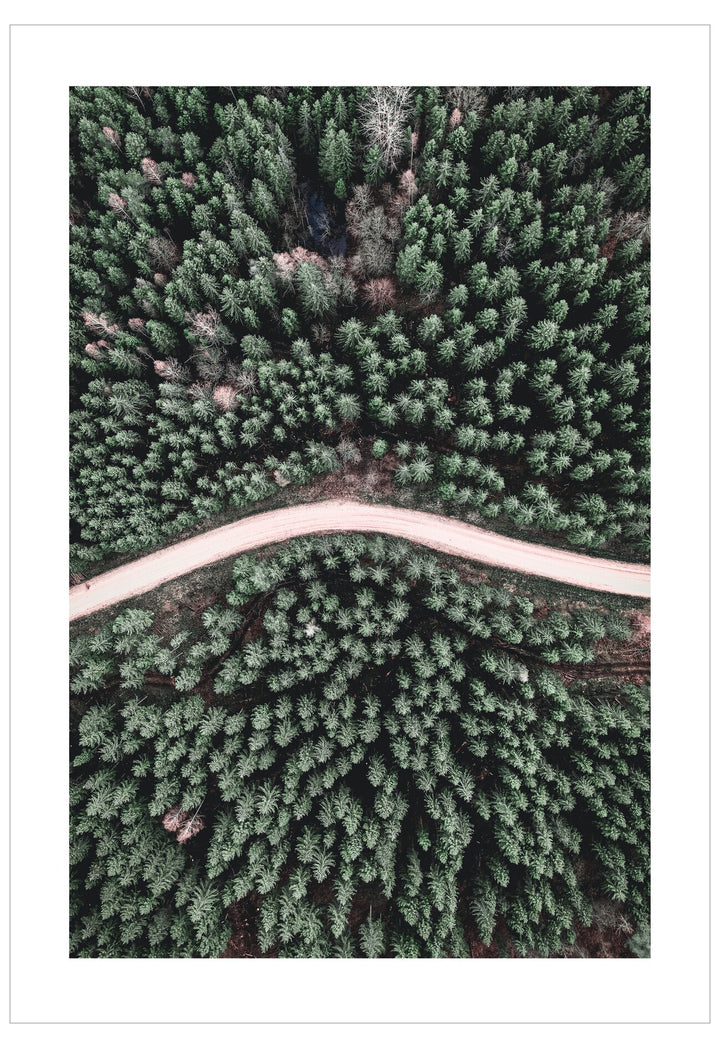 Aerial view of a winding road through a dense forest