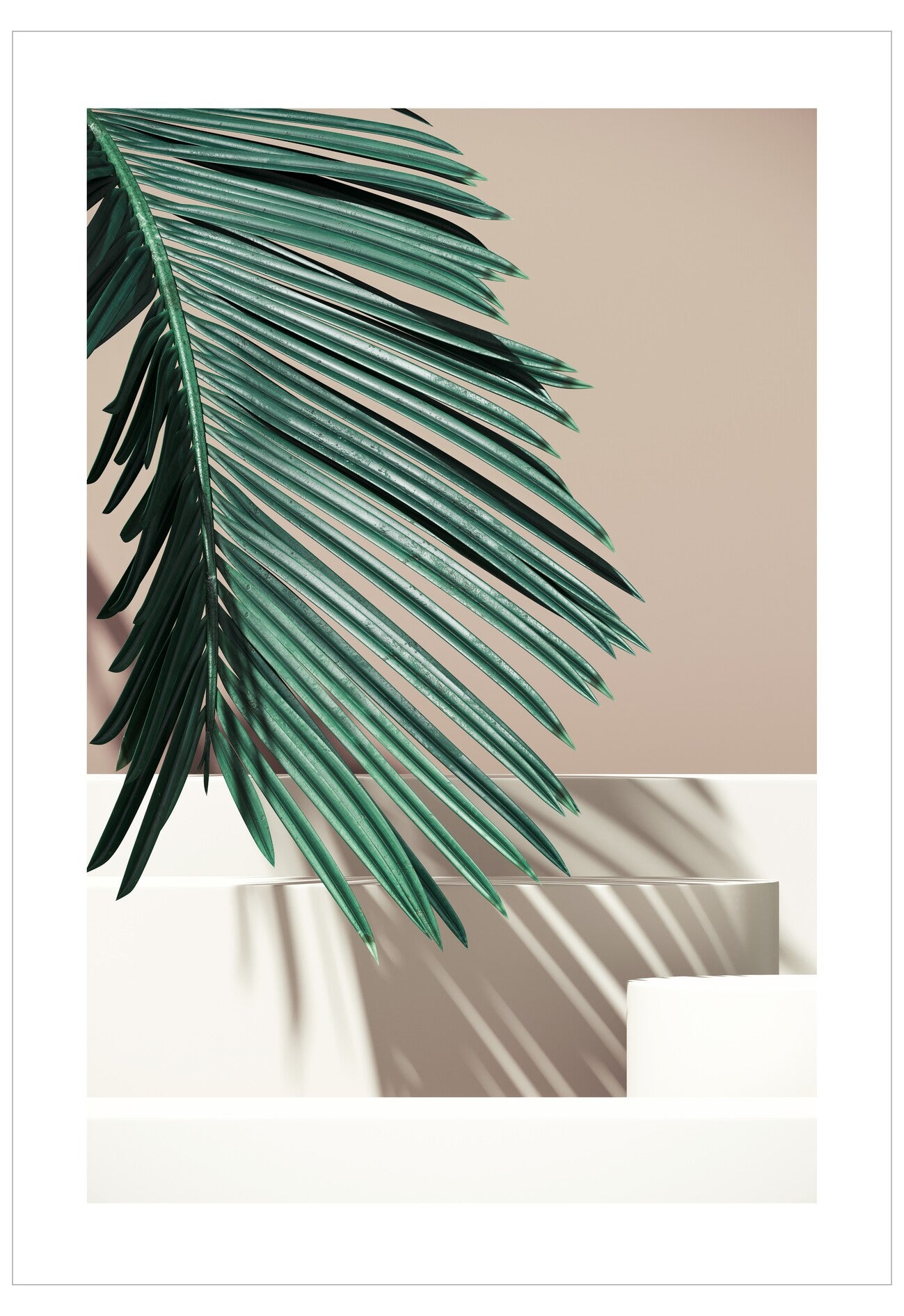 Tropical leaf against a neutral background
