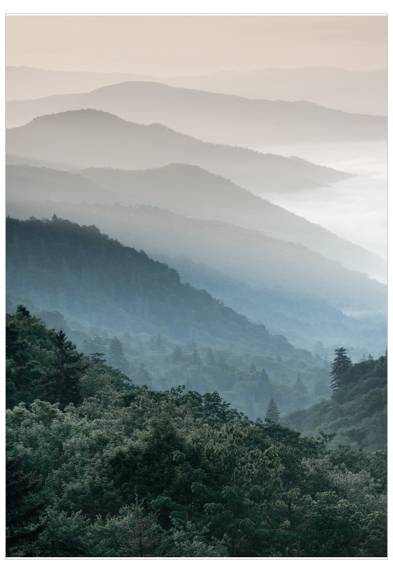 Hazy mountain landscape with green trees
