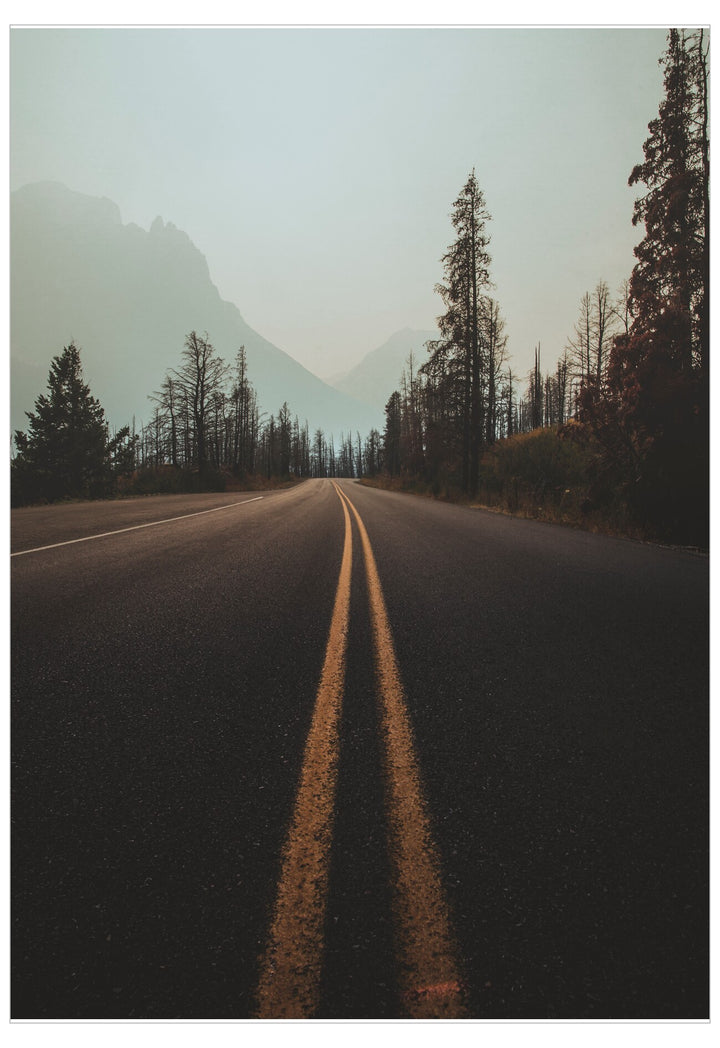 Road surrounded by trees and mountains in a forest setting