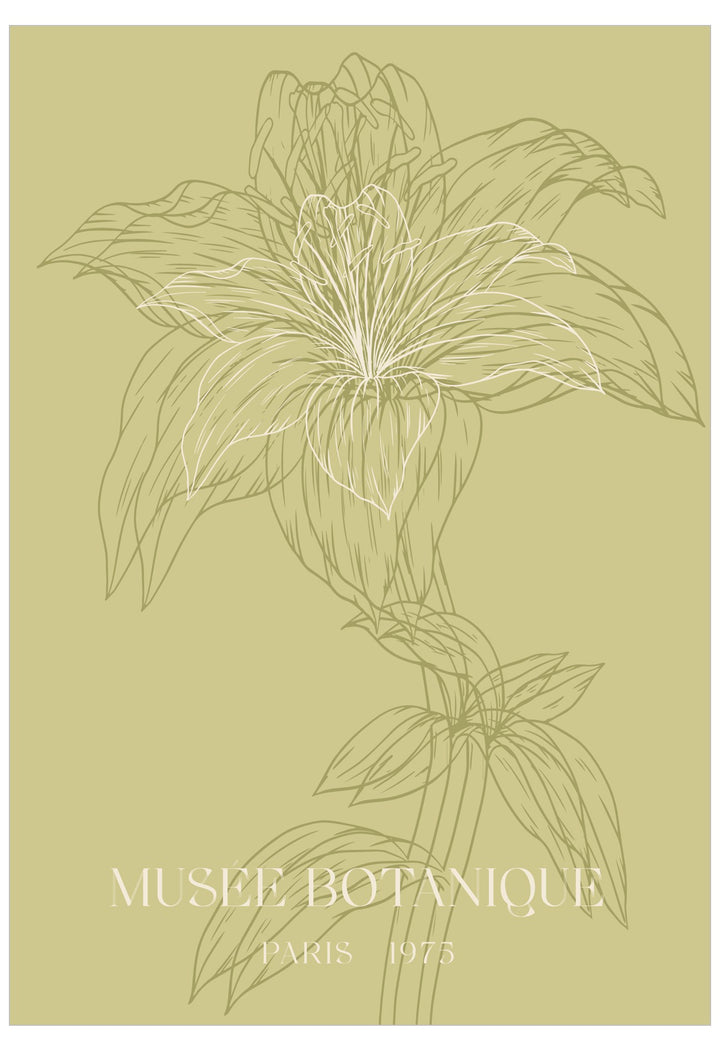 Botanical illustration of a flower with 'Museée Botanique Paris 1975' text on a beige background