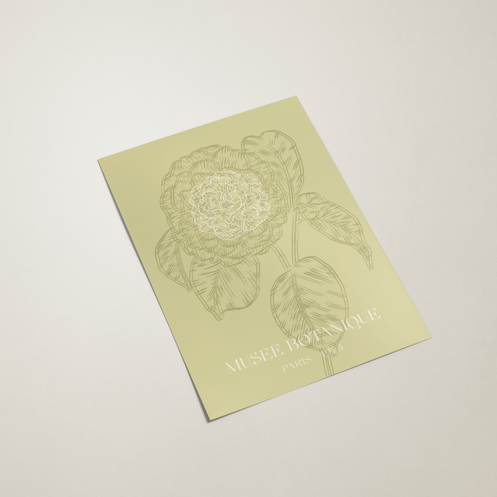 Light green notebook with a dreamcatcher design on a white background