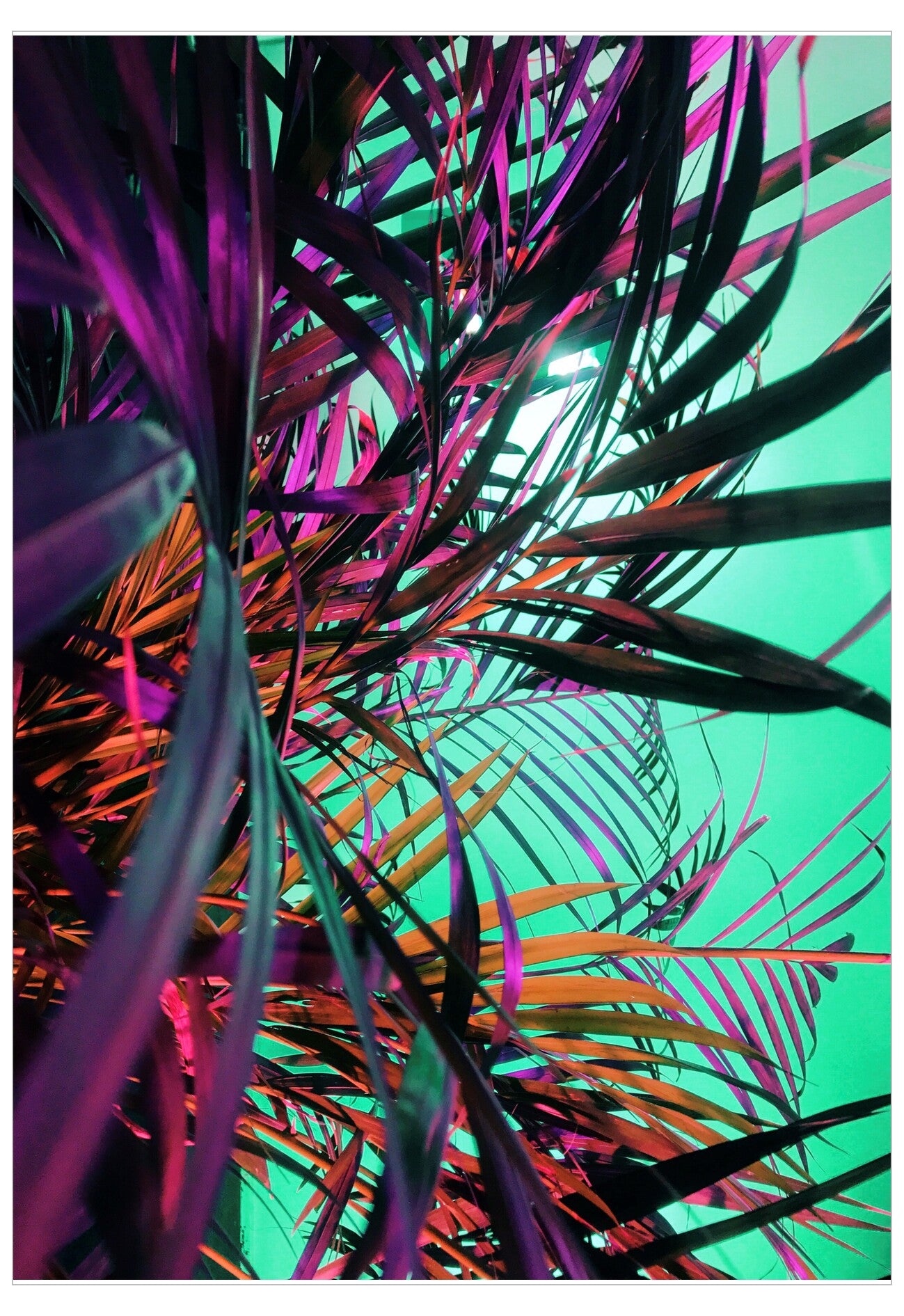 Neon Leaves 1 Poster
