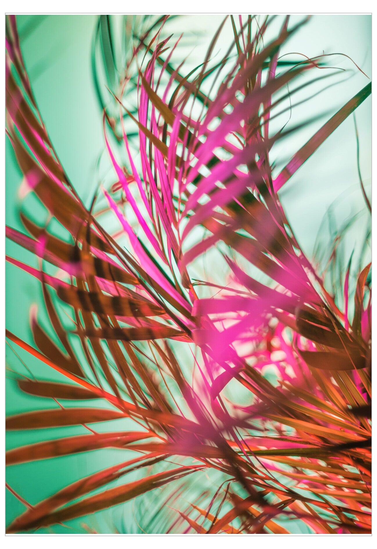Colorful palm leaf against a green background