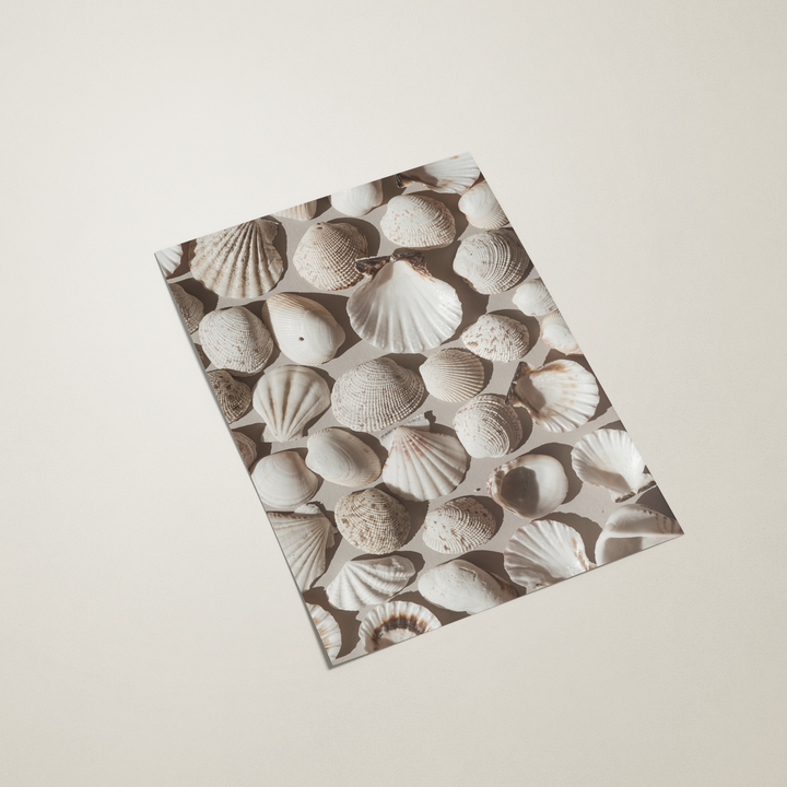 Neutral Seashells Poster