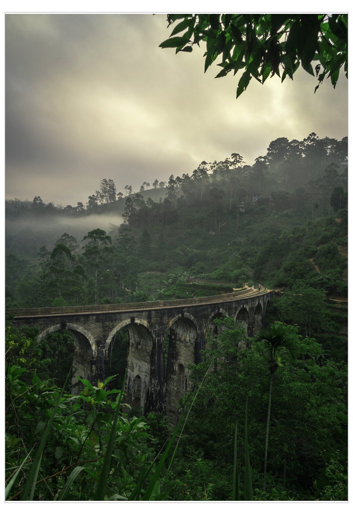 Stone arch bridge in a misty forest