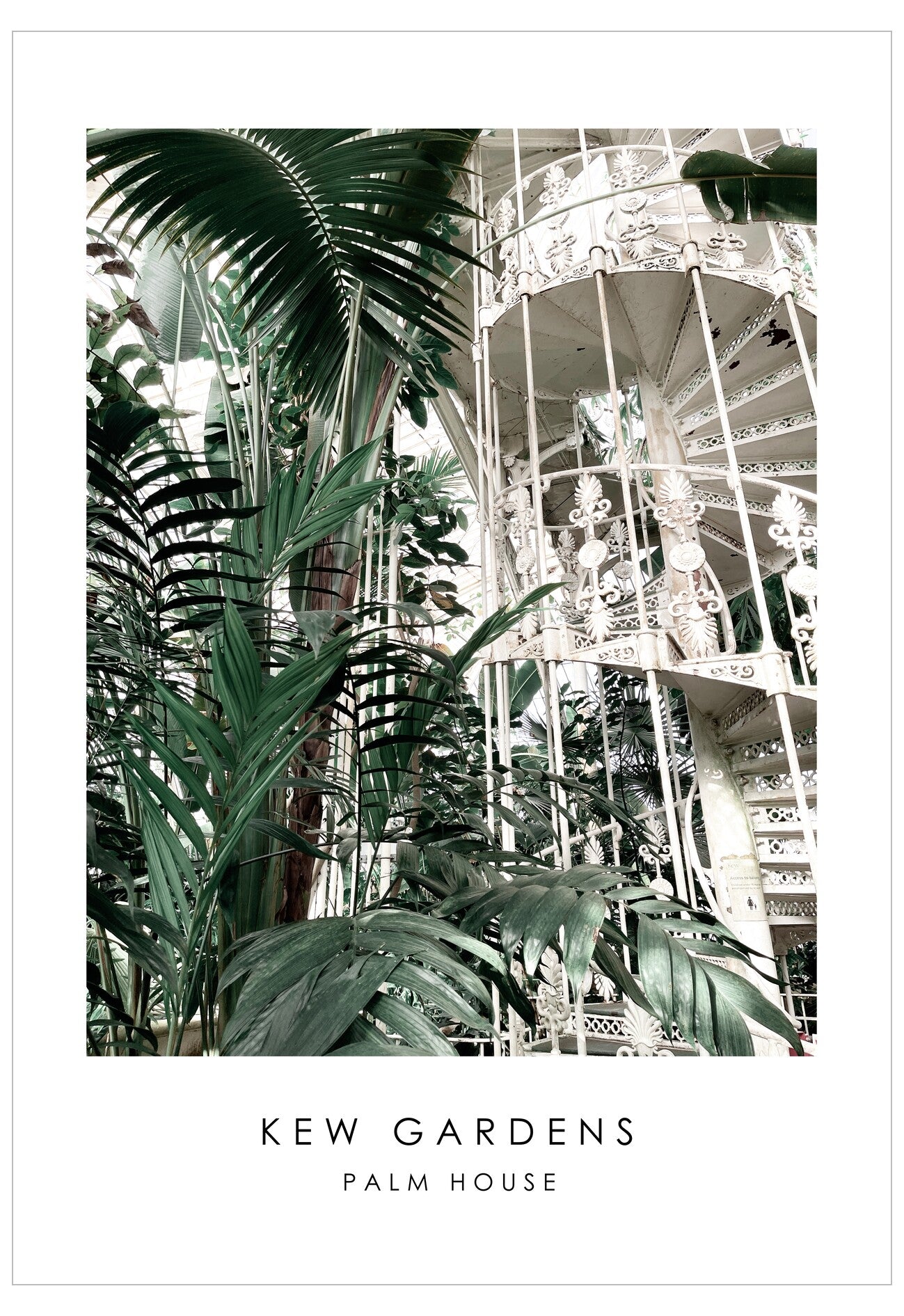 Interior of a palm house with lush greenery and architectural elements, featuring the text 'Kew Gardens Palm House'.