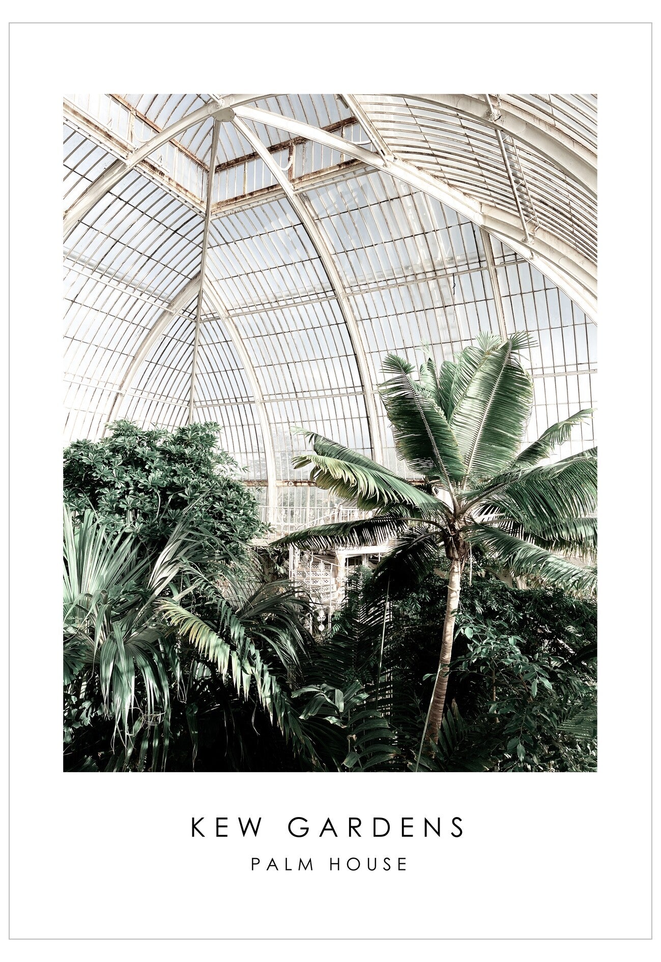 Palm House No. 2 Poster