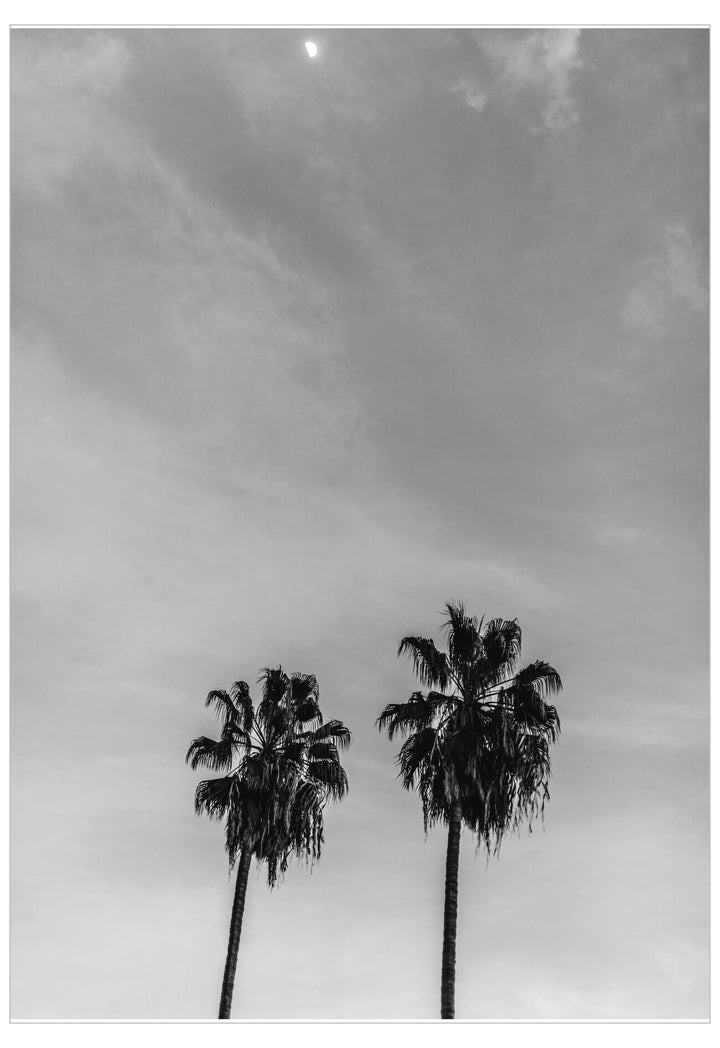 Two palm trees against a cloudy sky with a moon.