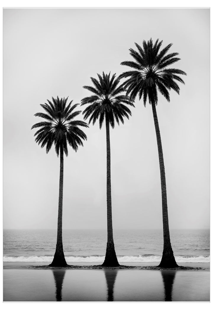 Black and white photograph of three palm trees on a beach.
