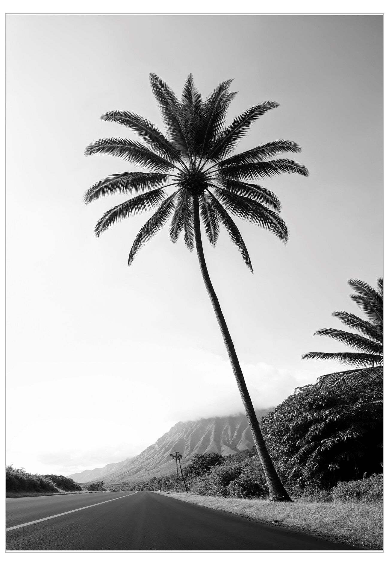 Palm Series No.4 Poster