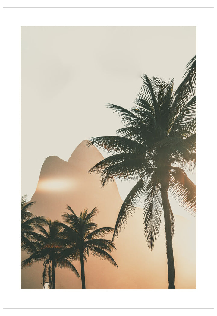 Silhouettes of palm trees against a sunset sky with a building in the background.