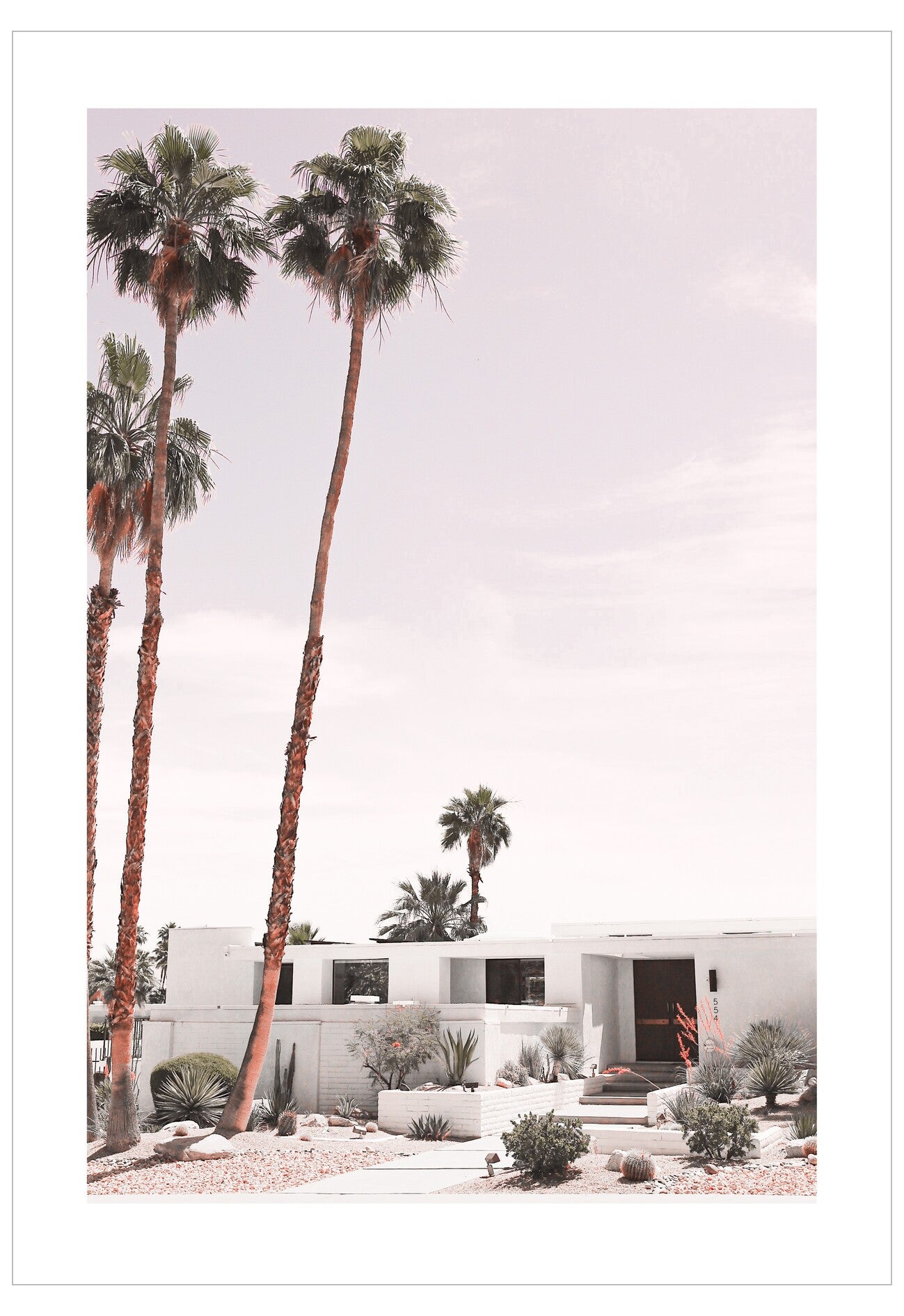 Modern house with palm trees in a desert landscape