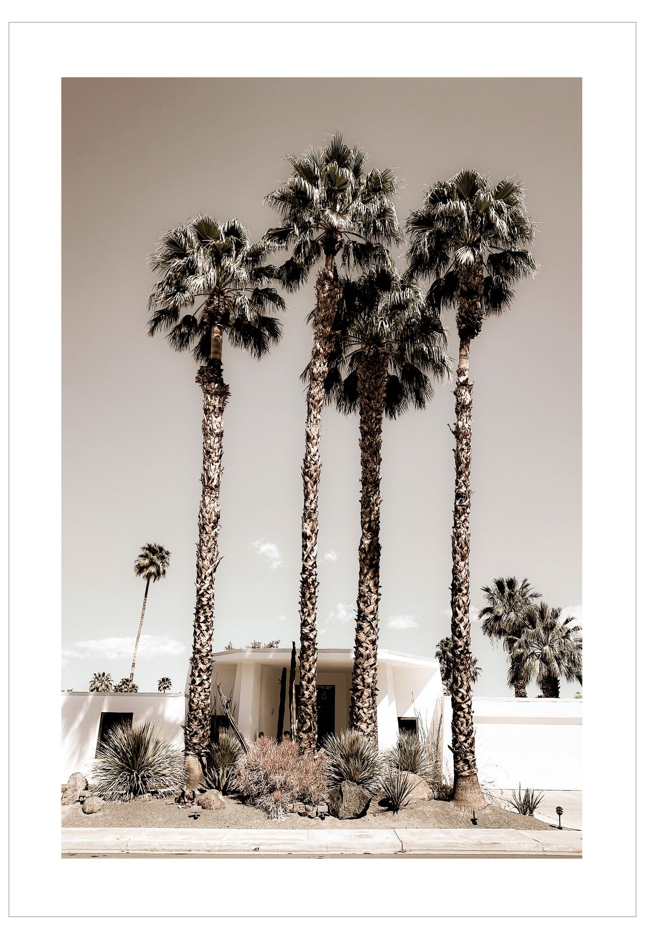 Three palm trees in front of a building with a neutral background