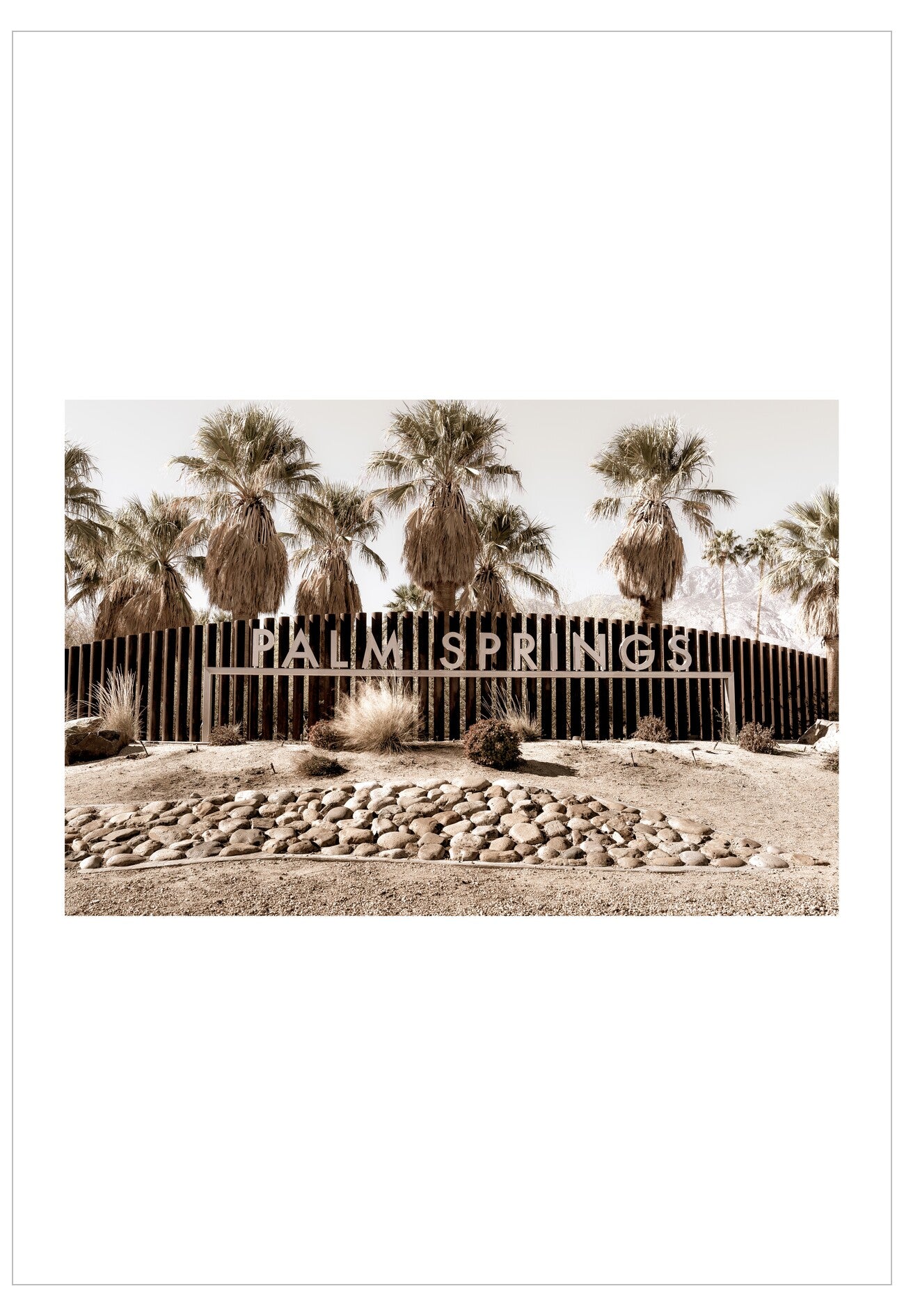 Palm Springs sign with palm trees in the background