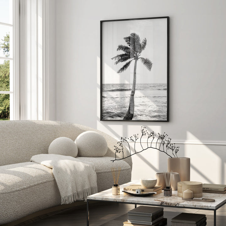 Paradise Palm Poster