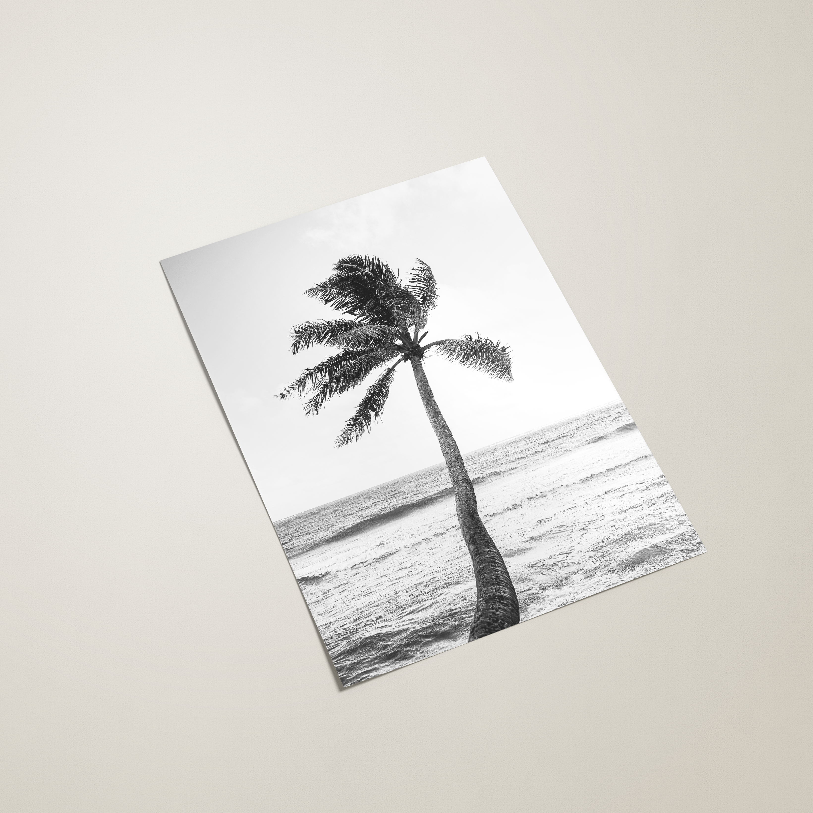 Paradise Palm Poster