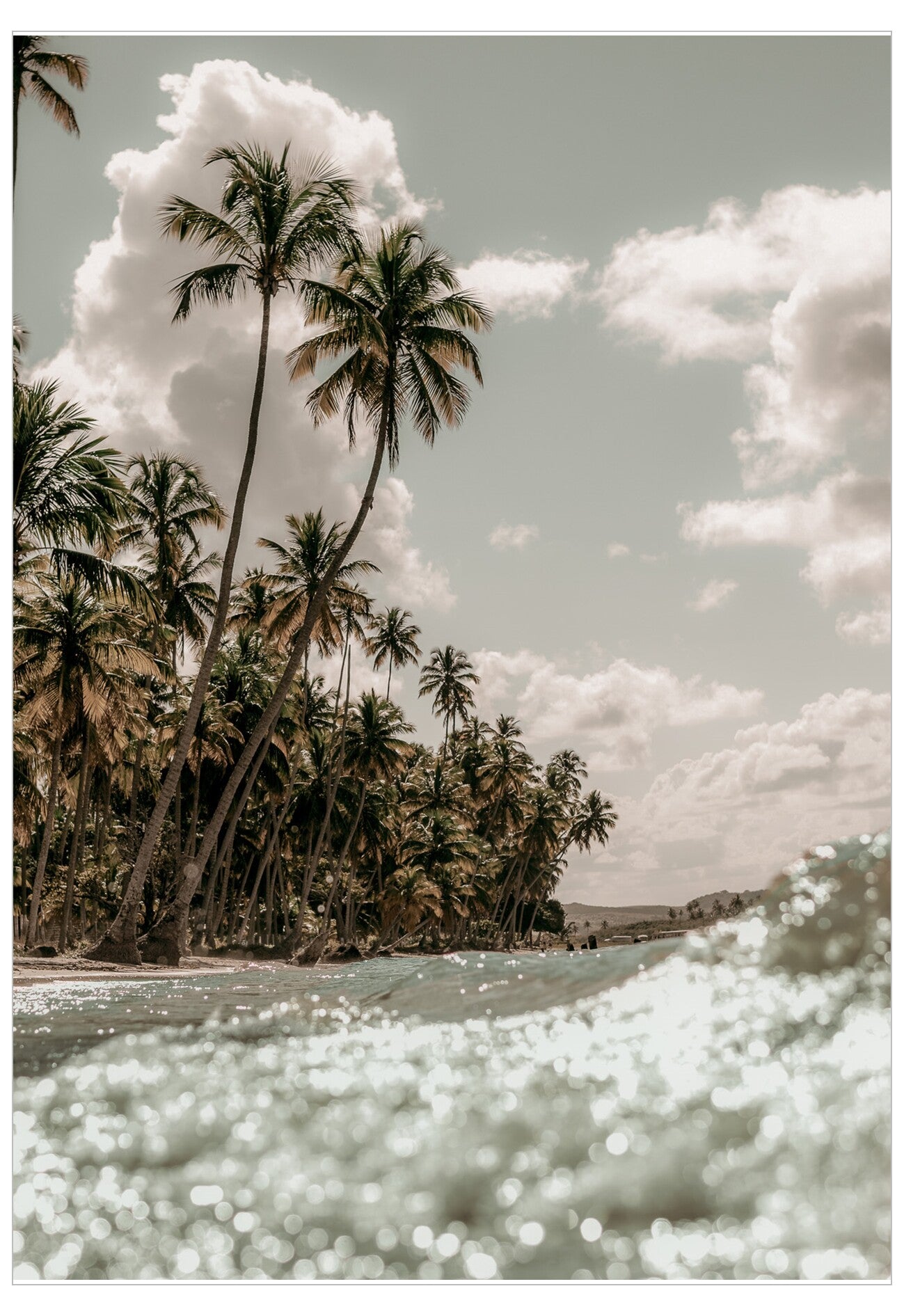 Tropical beach with palm trees and a cloudy sky