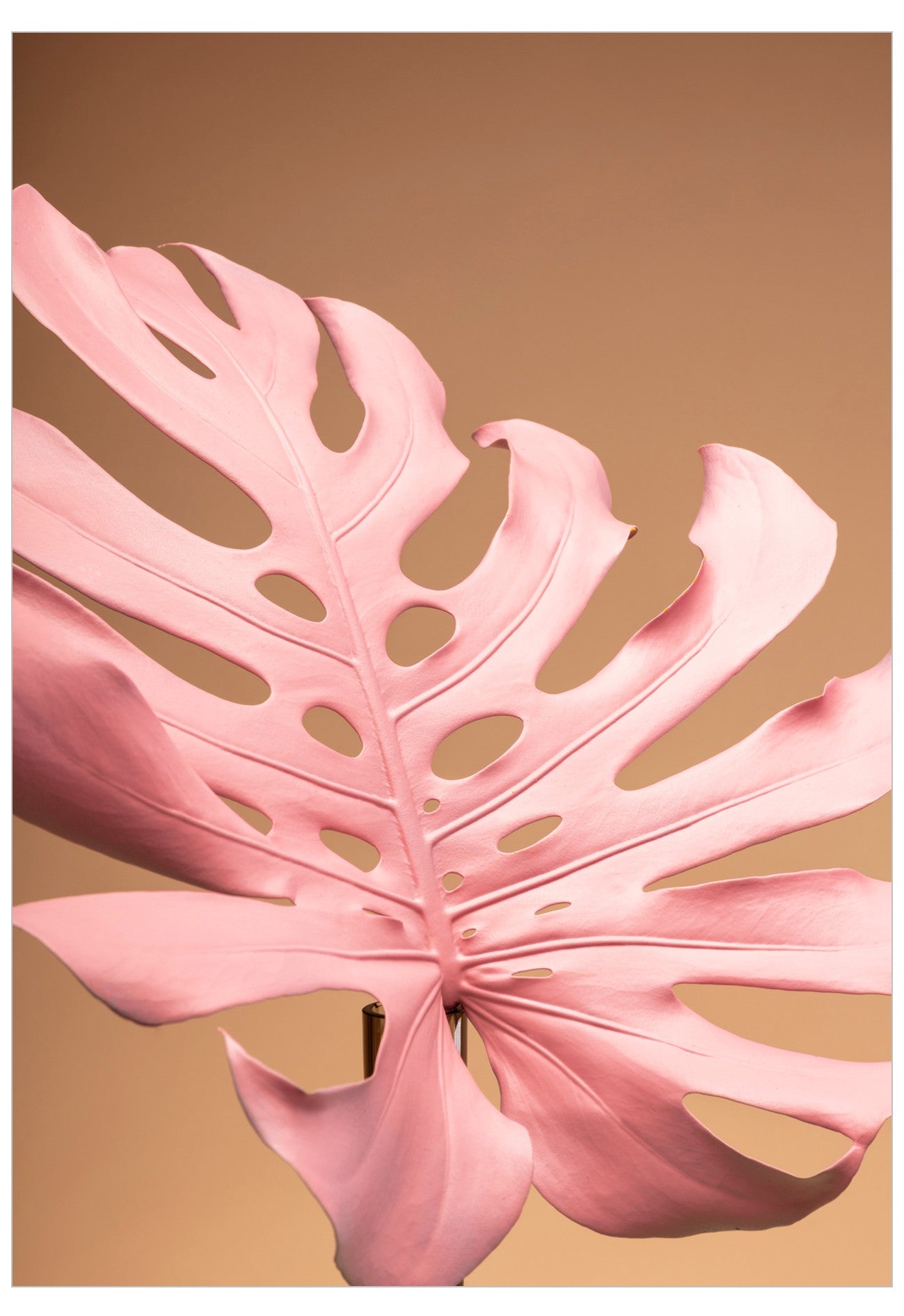 Pastel pink monstera leaf poster