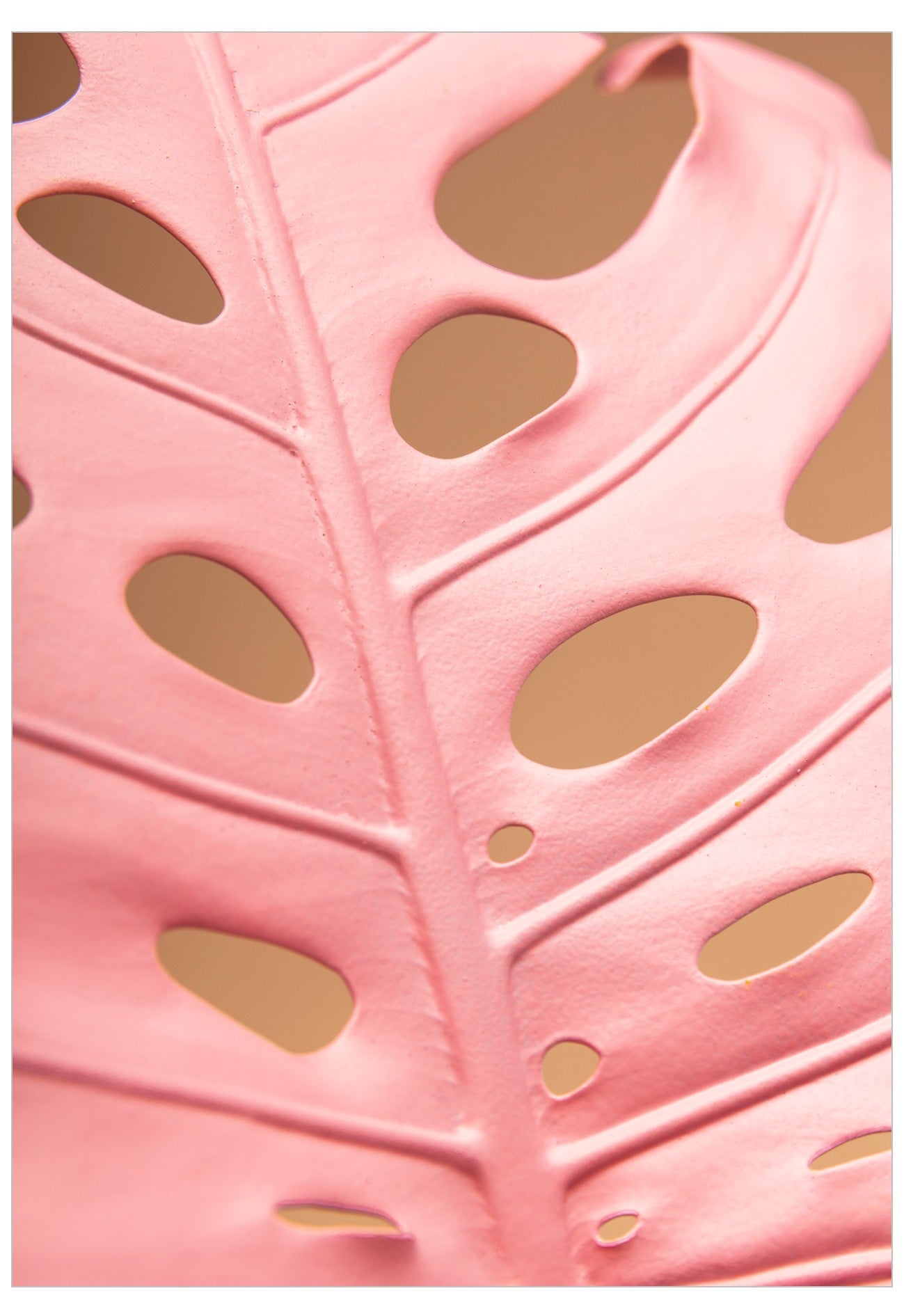 Close-up poster of a pink monstera leaf