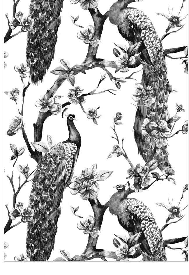 Black and white illustration of peacocks and branches with flowers on a white background
