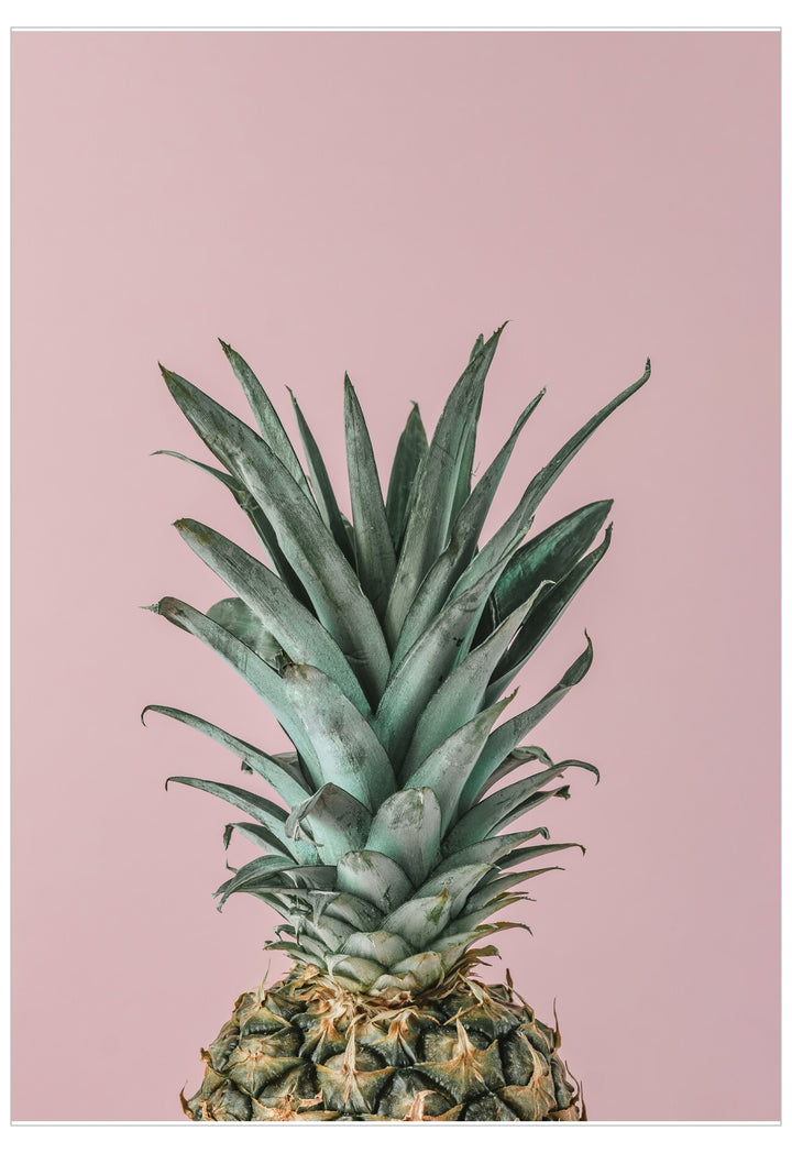 Pineapple on a pink background