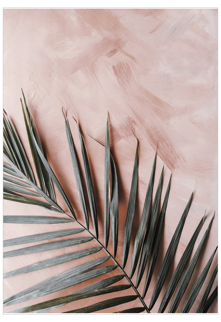 Palm leaves on a pink textured background