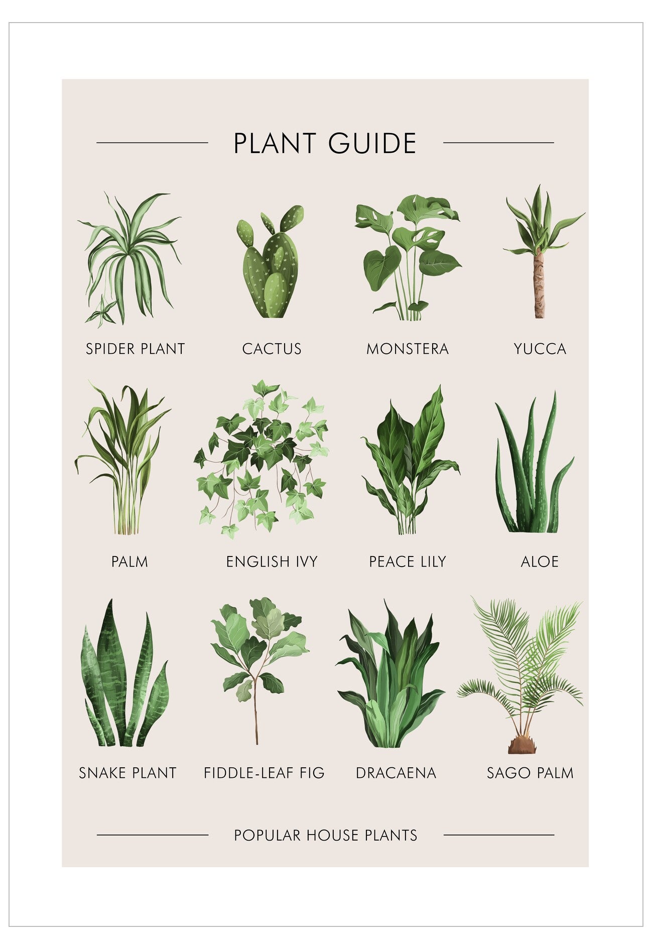 Chart of popular house plants with labels on a beige background