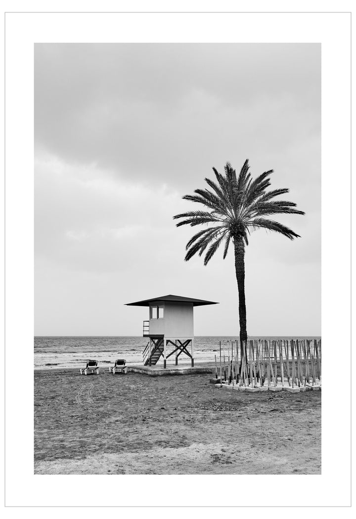 Black and white photo of a lifeguard tower and palm tree on a beach