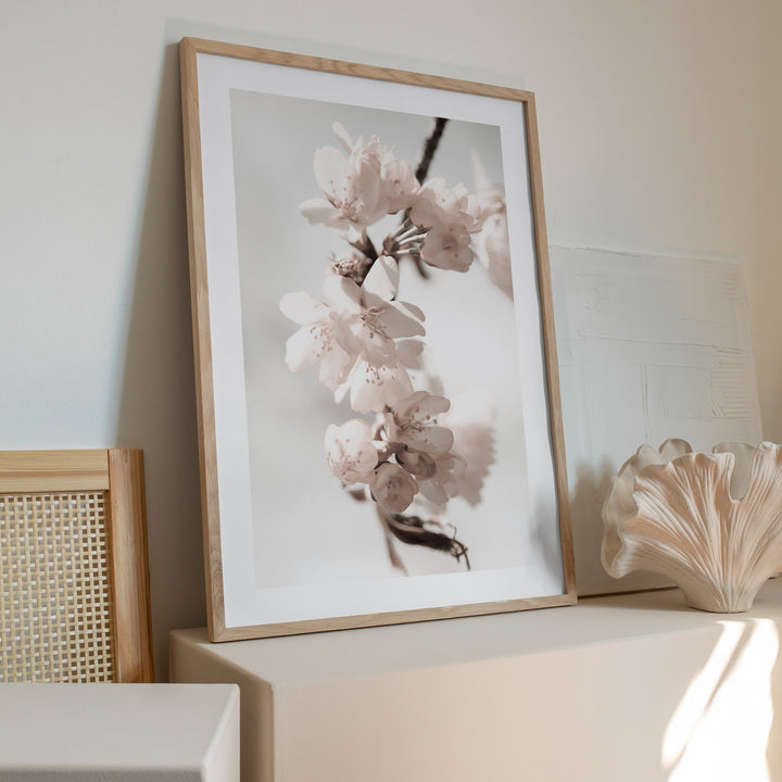 cherry blossoms poster