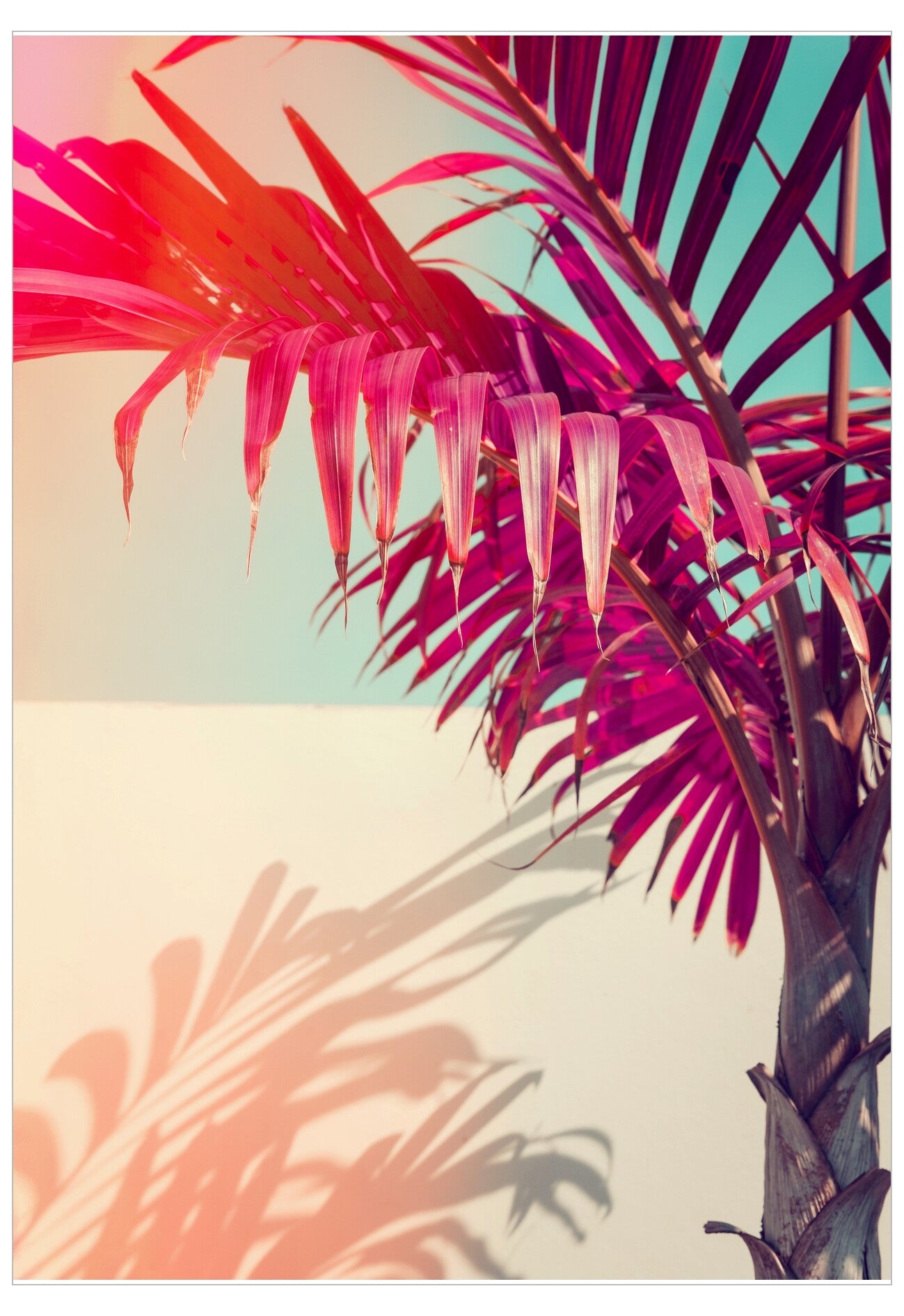 Tropical plant with pink and red leaves against a light blue sky
