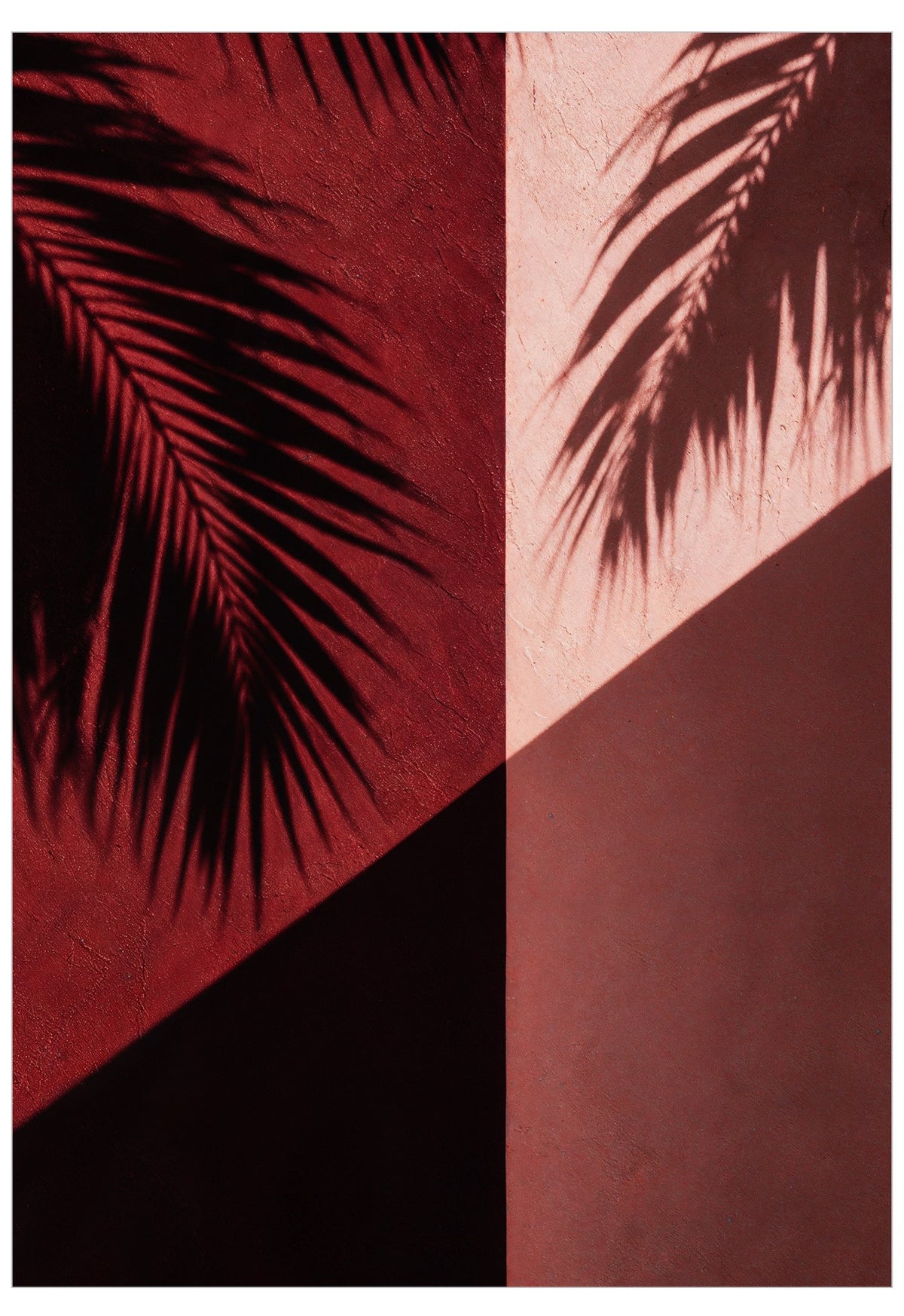 Red palm shadows poster
