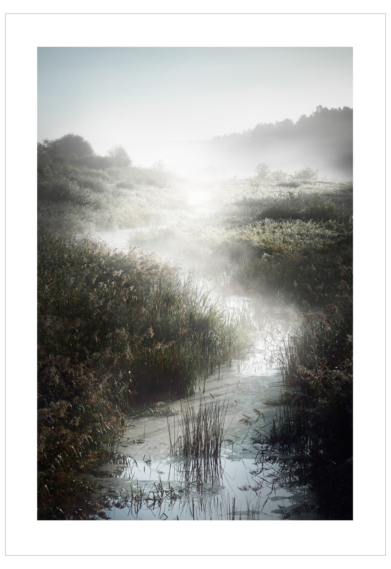Misty path through a grassy field with sunlight filtering through