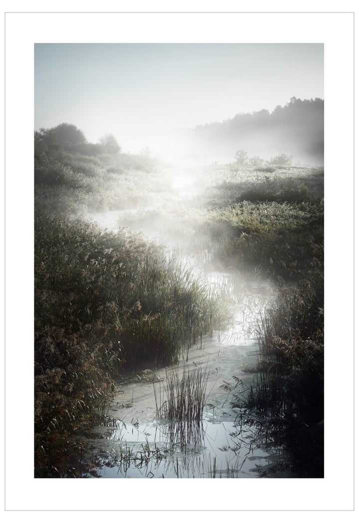 Misty path through a grassy field with sunlight filtering through
