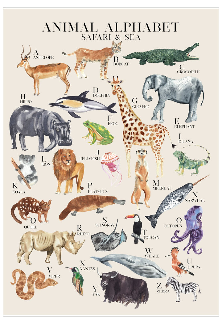 Illustrated alphabet poster featuring animals from a safari and sea theme.