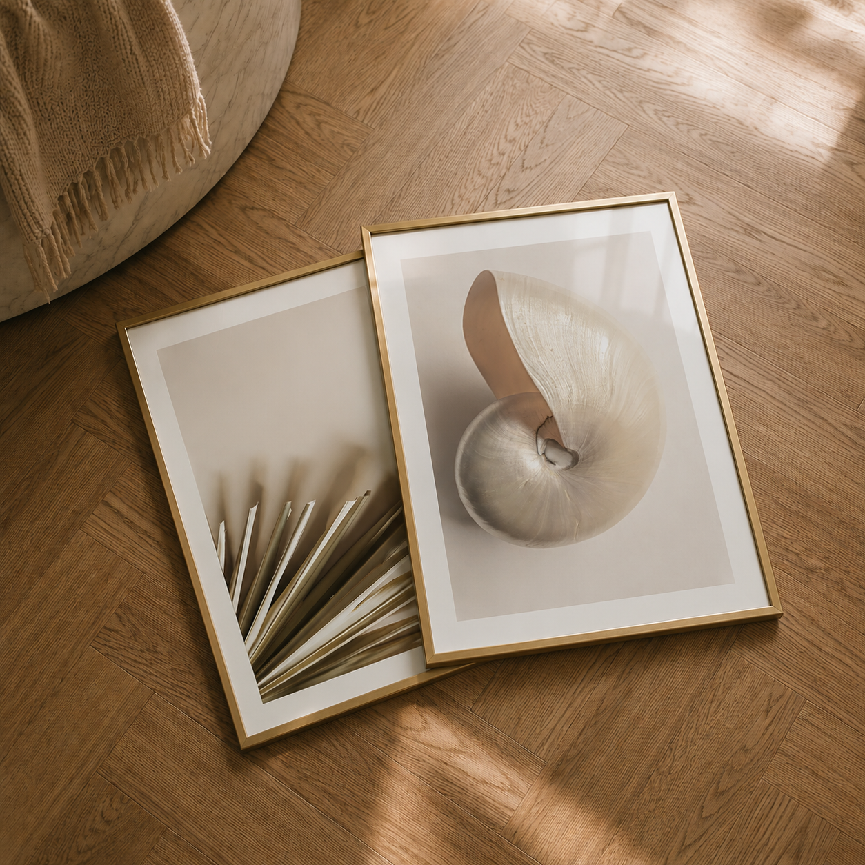 Two framed prints on a wooden floor, one with a shell and the other with dried leaves.