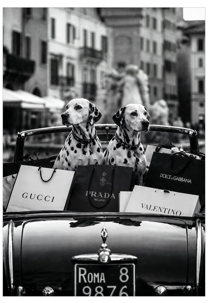 Black and white street photograph of two Dalmatian dogs sitting in the trunk of a vintage car, surrounded by luxury shopping bags from Gucci, Prada, Dolce & Gabbana, and Valentino, with a blurred city street and building facade in the background.