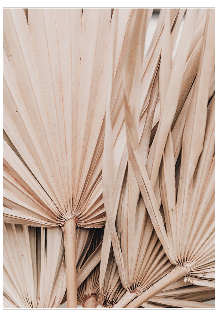 Close-up of dried palm leaves with a neutral color palette.