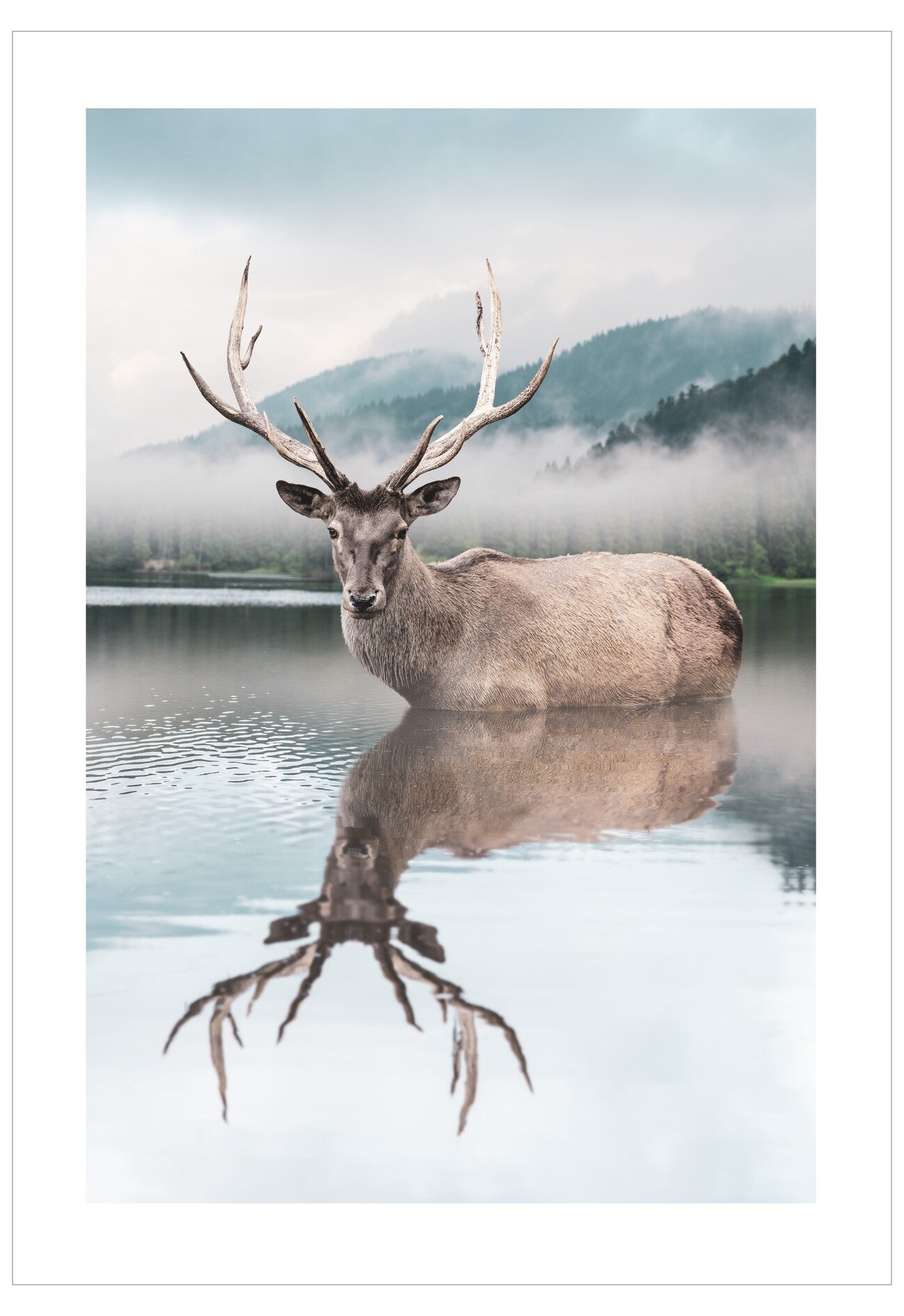 Deer standing in water with mountains in the background