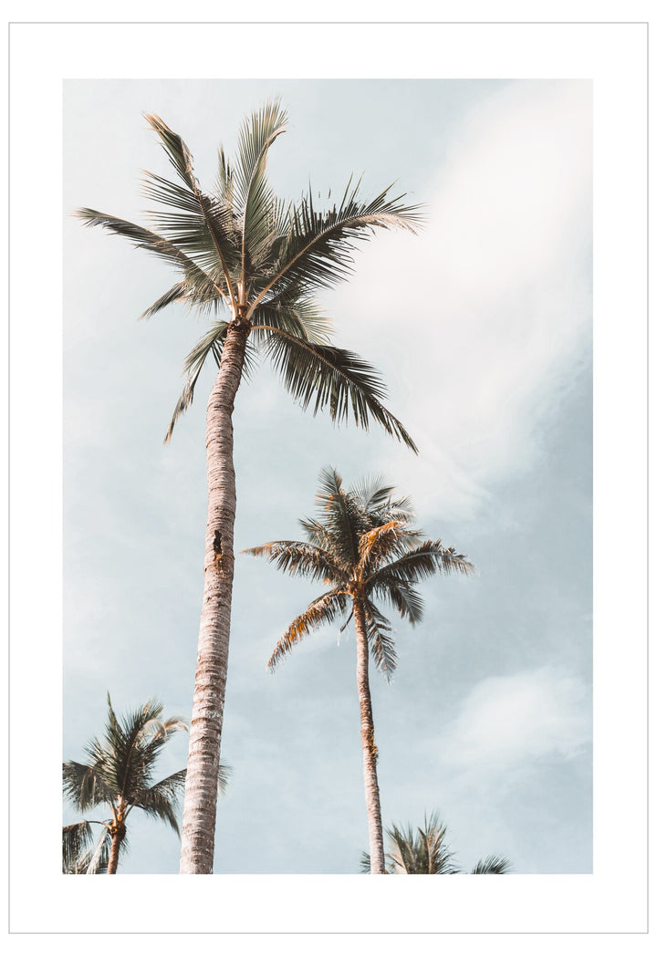 Three palm trees against a light blue sky with scattered clouds